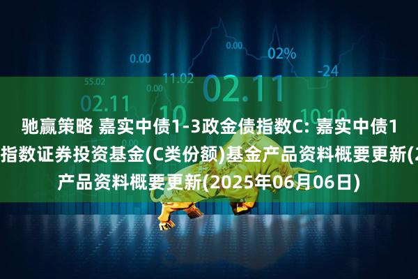 驰赢策略 嘉实中债1-3政金债指数C: 嘉实中债1-3年政策性金融债指数证券投资基金(C类份额)基金产品资料概要更新(2025年06月06日)