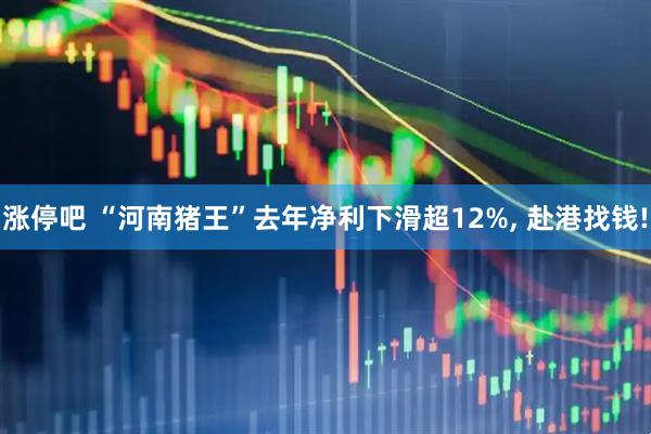 涨停吧 “河南猪王”去年净利下滑超12%, 赴港找钱!